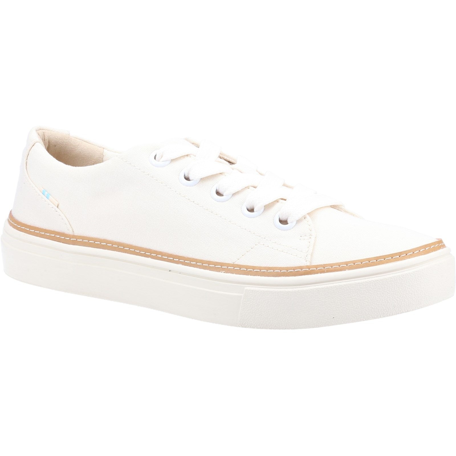 Toms Alex Birch Canvas Trainer