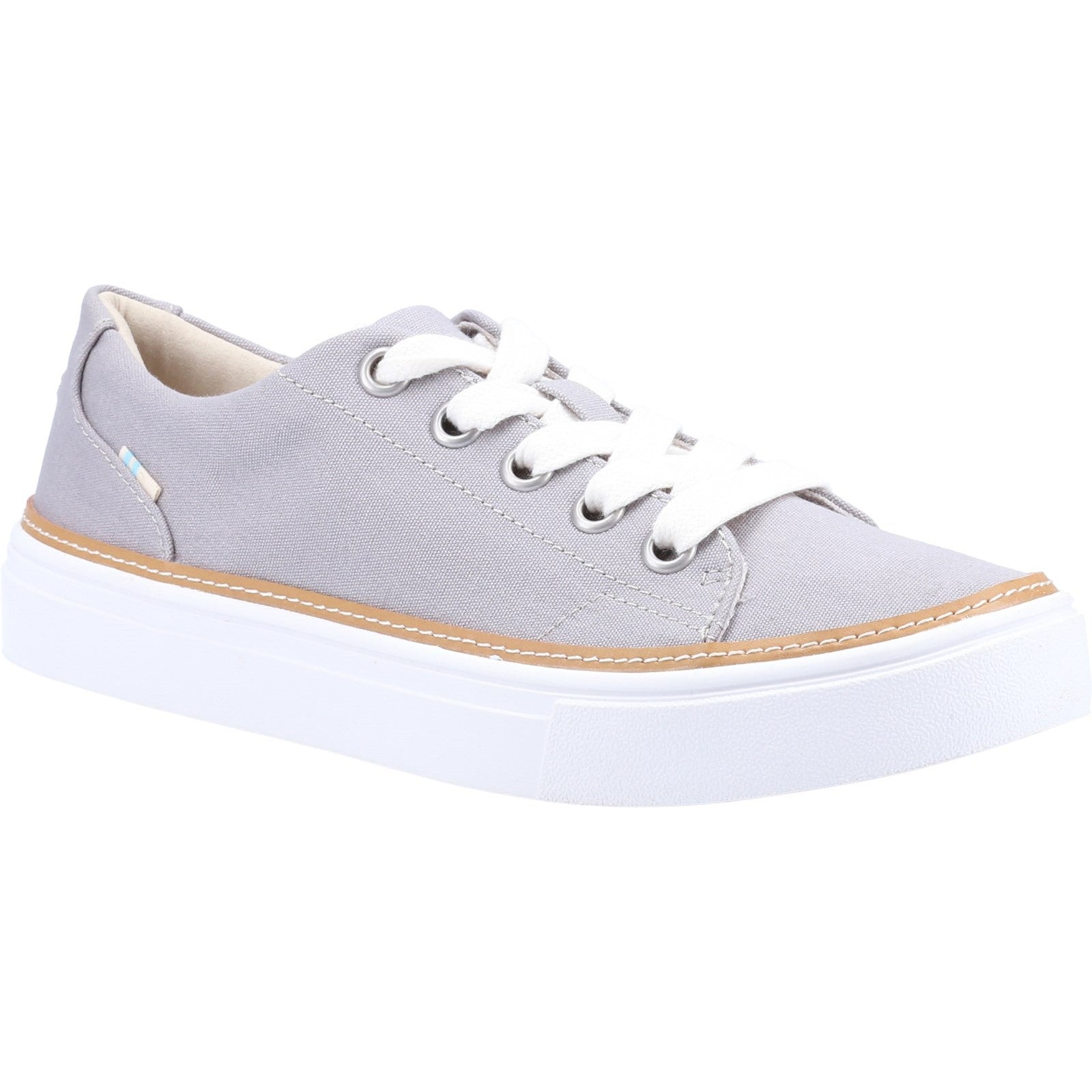 Toms Alex Canvas Trainer