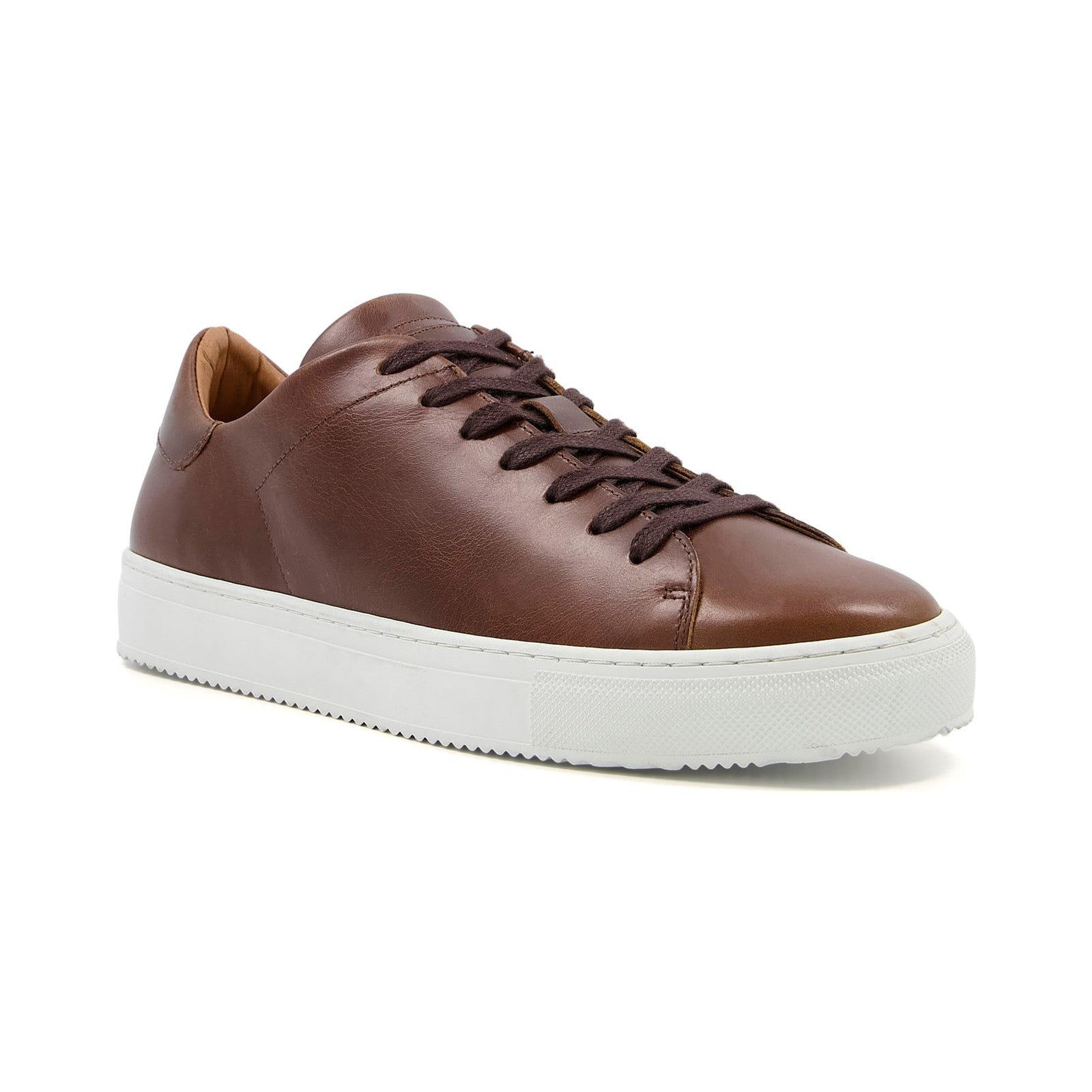 Dune Thorn Trainers