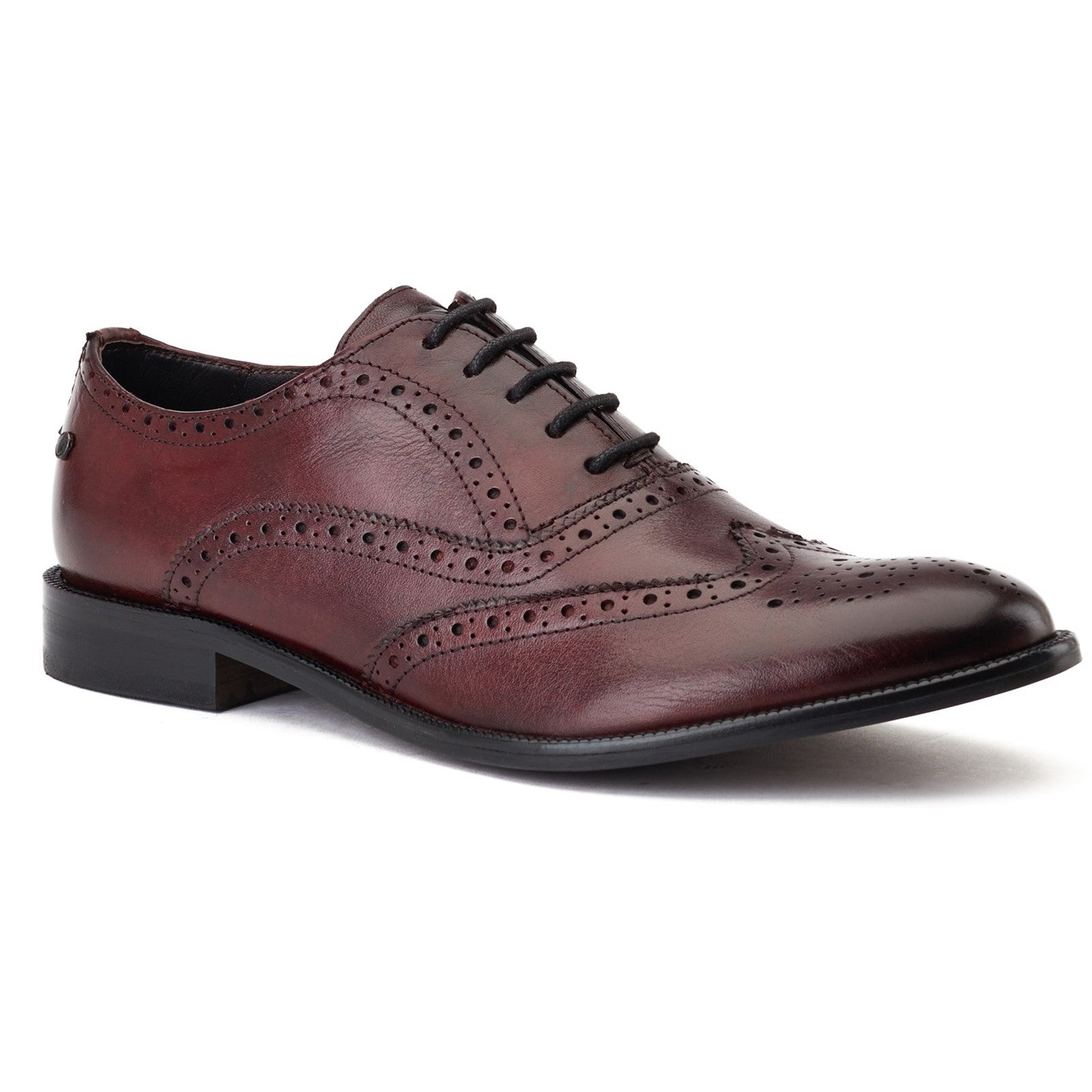 Base London Darcy Oxford Brogue Shoe