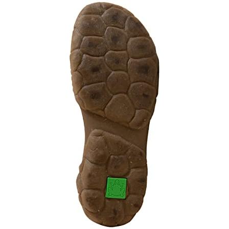 El Naturalista N5083 Turtle