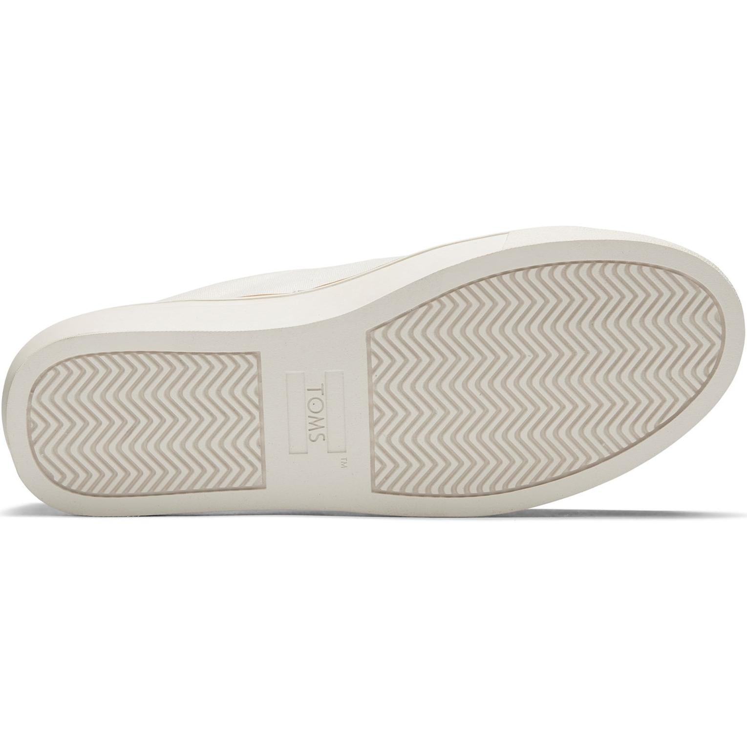 Toms Alex Birch Canvas Trainer