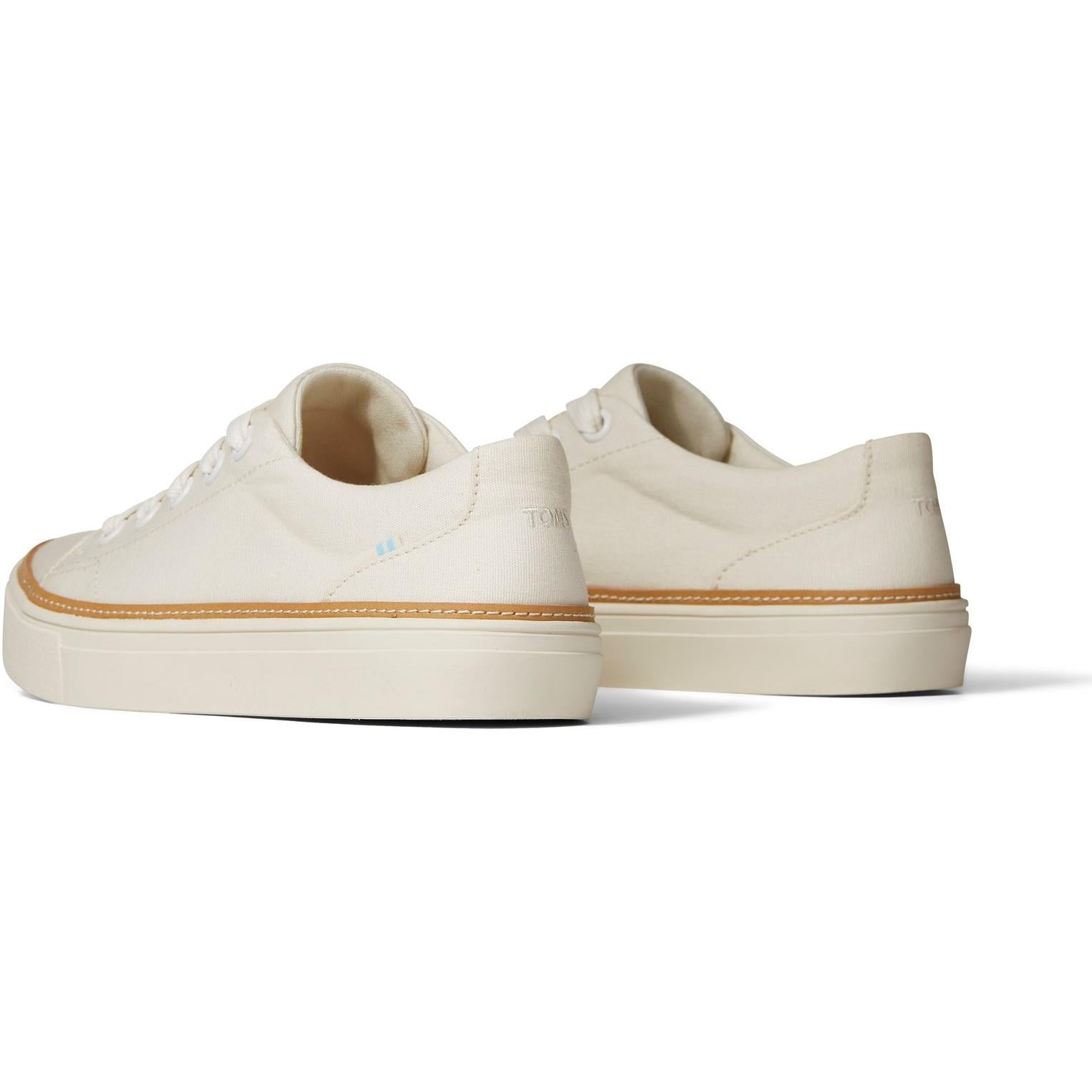 Toms Alex Birch Canvas Trainer