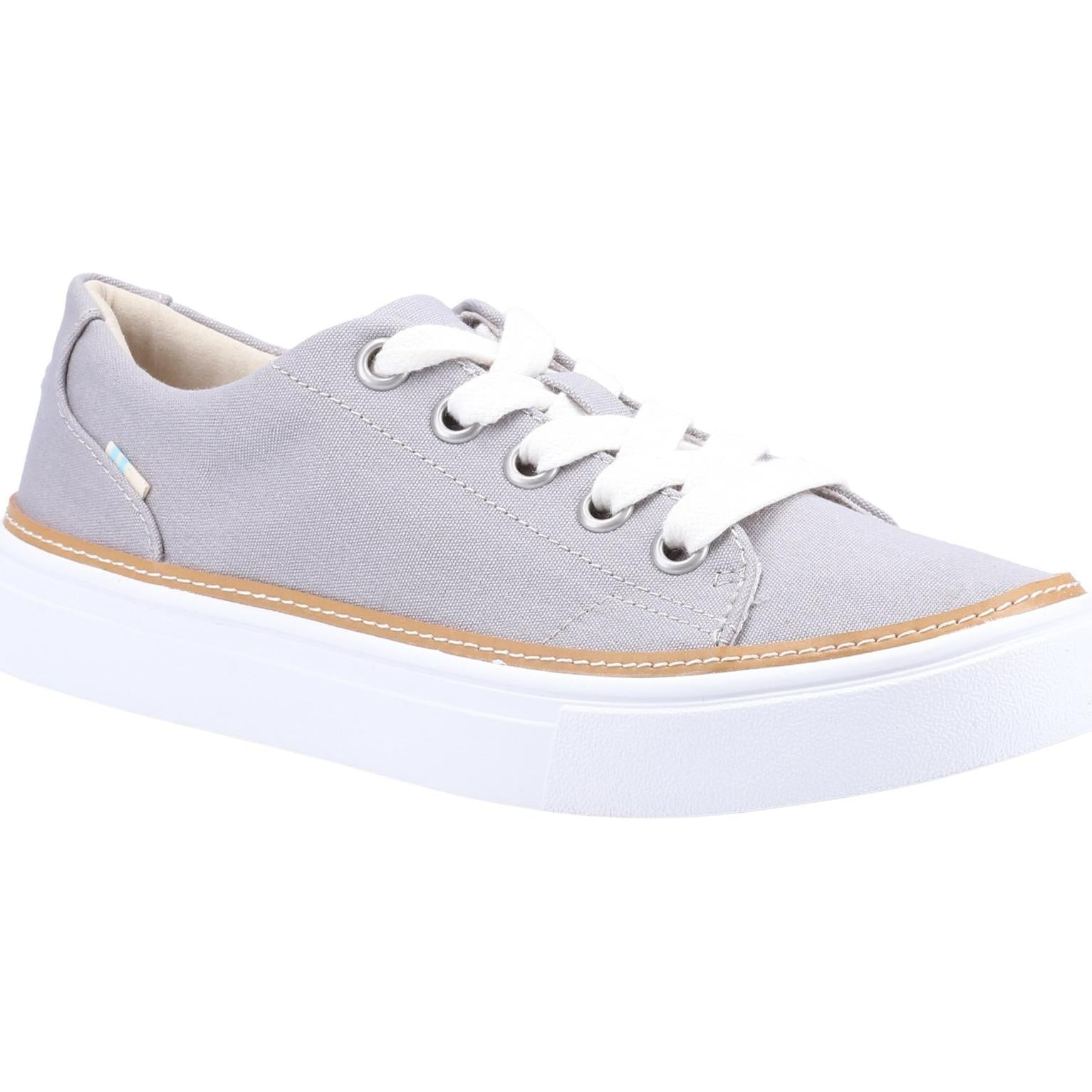 Toms Alex Canvas Trainer