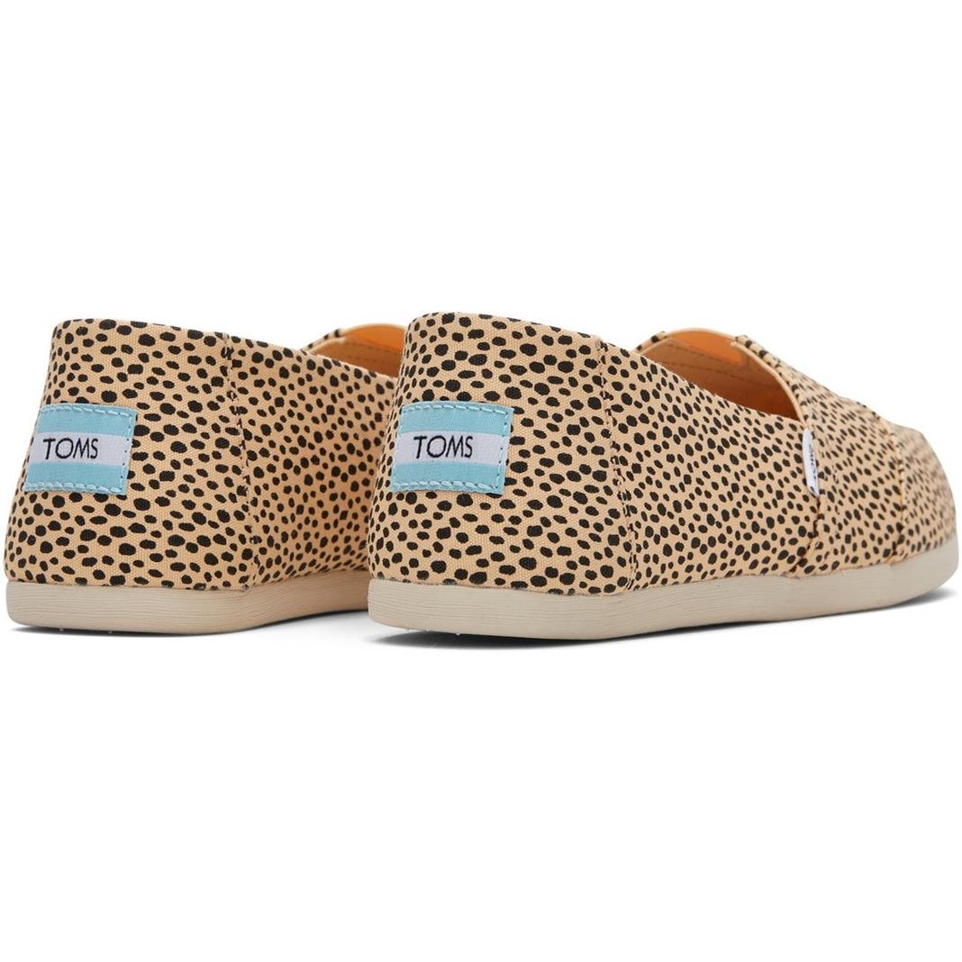 Toms Alpargata with Cloudbound Shoes