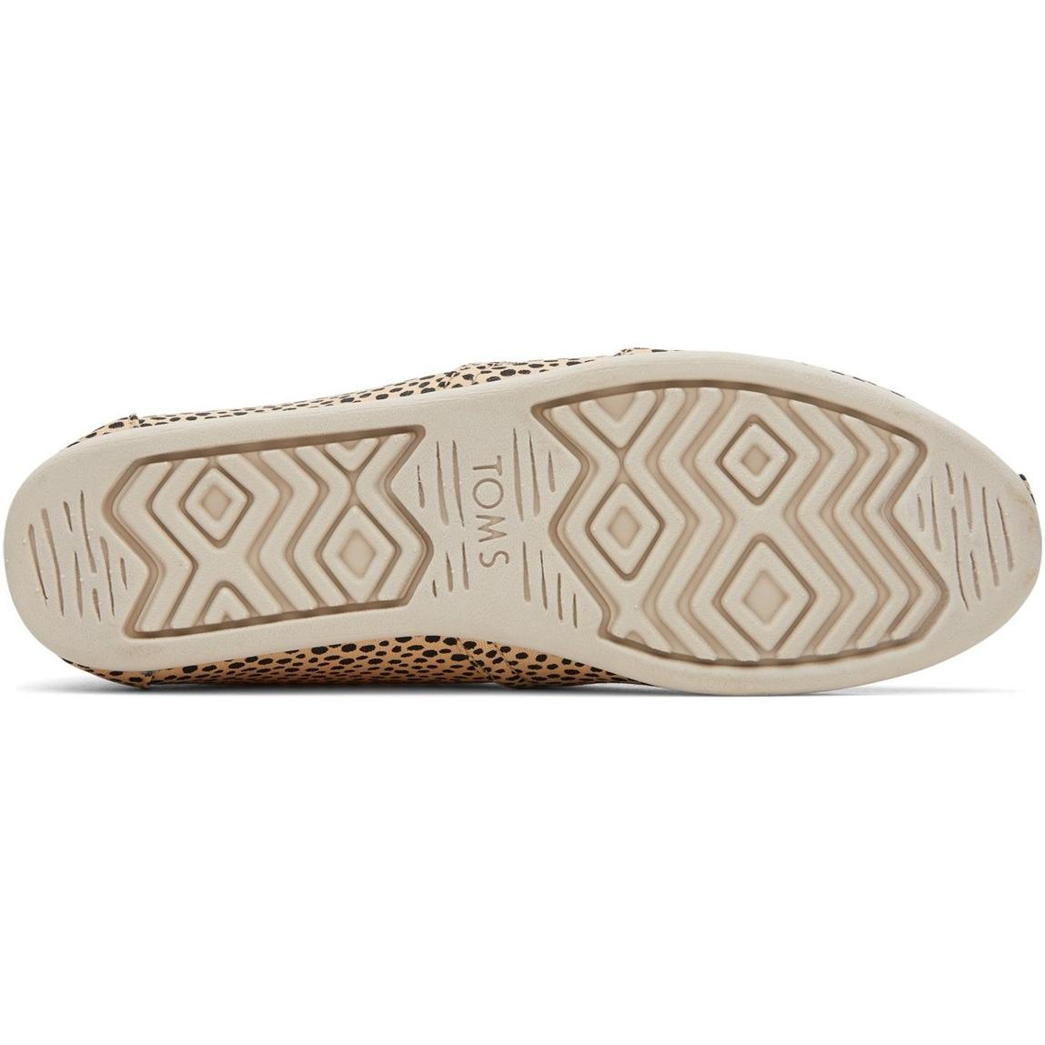 Toms Alpargata with Cloudbound Shoes