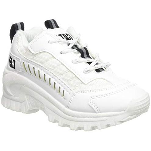 Cat Intruder Trainers