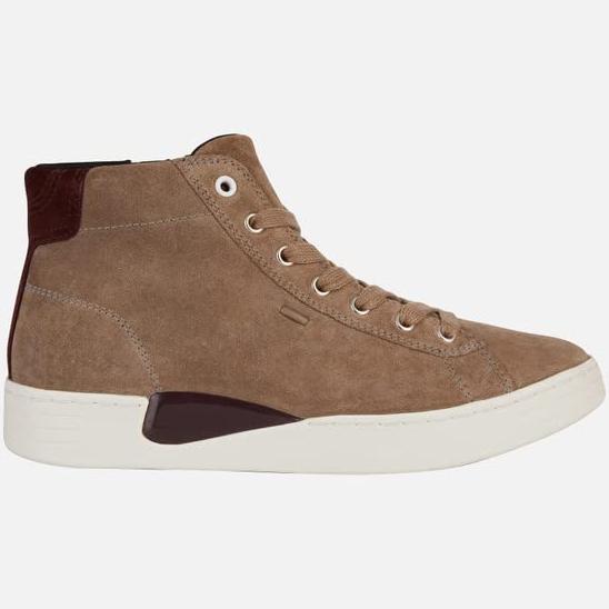 Geox D Lauressa C Trainers