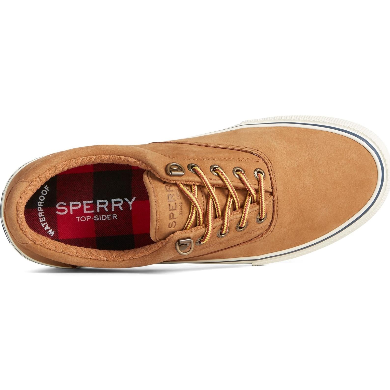 Sperry Top-sider Striper Storm CVO WP Shoe